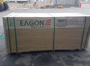 Eagon - Radiata Pine plywood