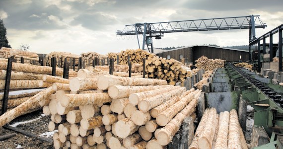 Produzione e spedizione